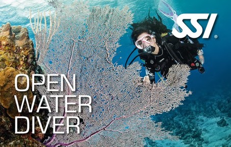 White Rock dive site — Colorful, easy and close to home